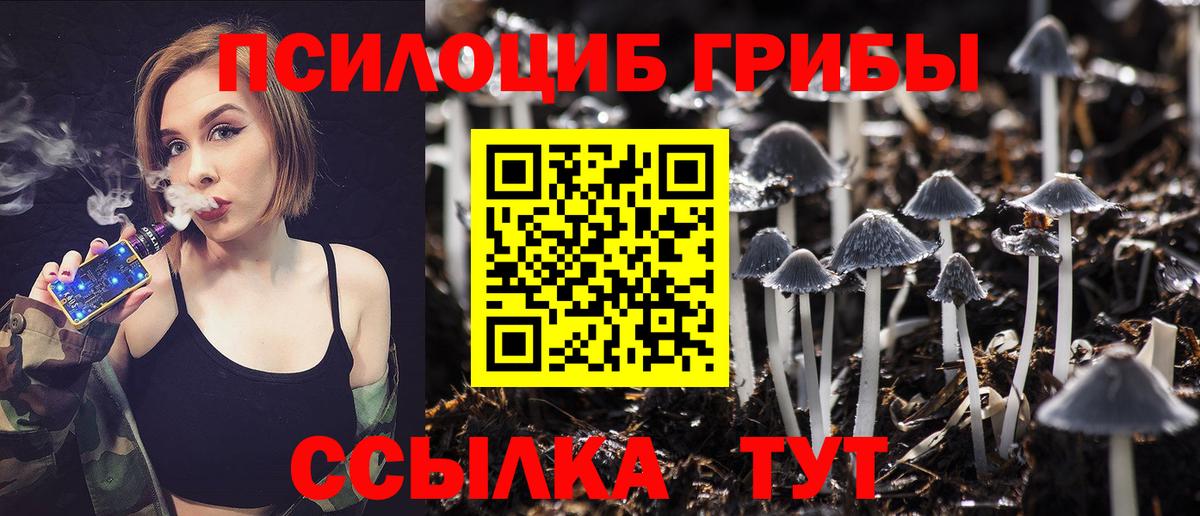 Галлюциногенные грибы GOLDEN TEACHER  Галлюциногенные грибы ЛСД  Моздок  Вход с VPN 