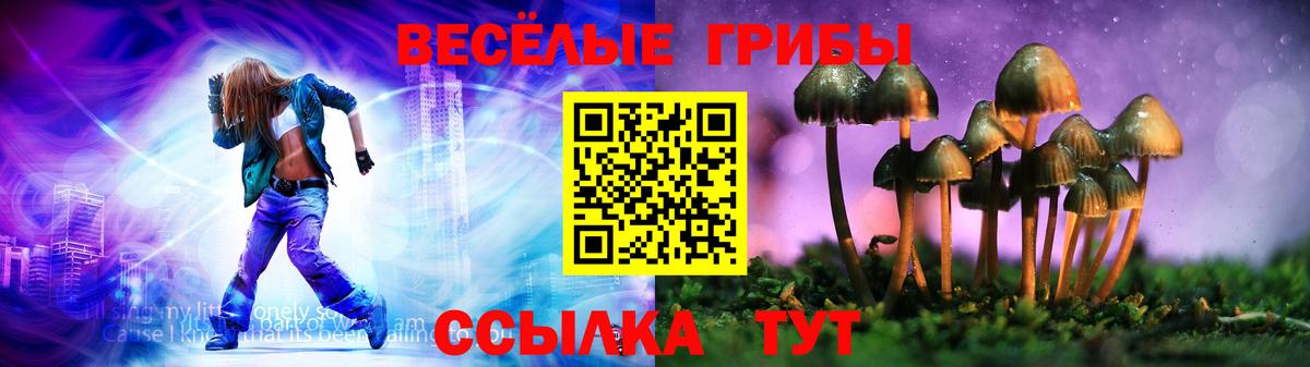 Псилоцибиновые грибы Psilocybe Моздок